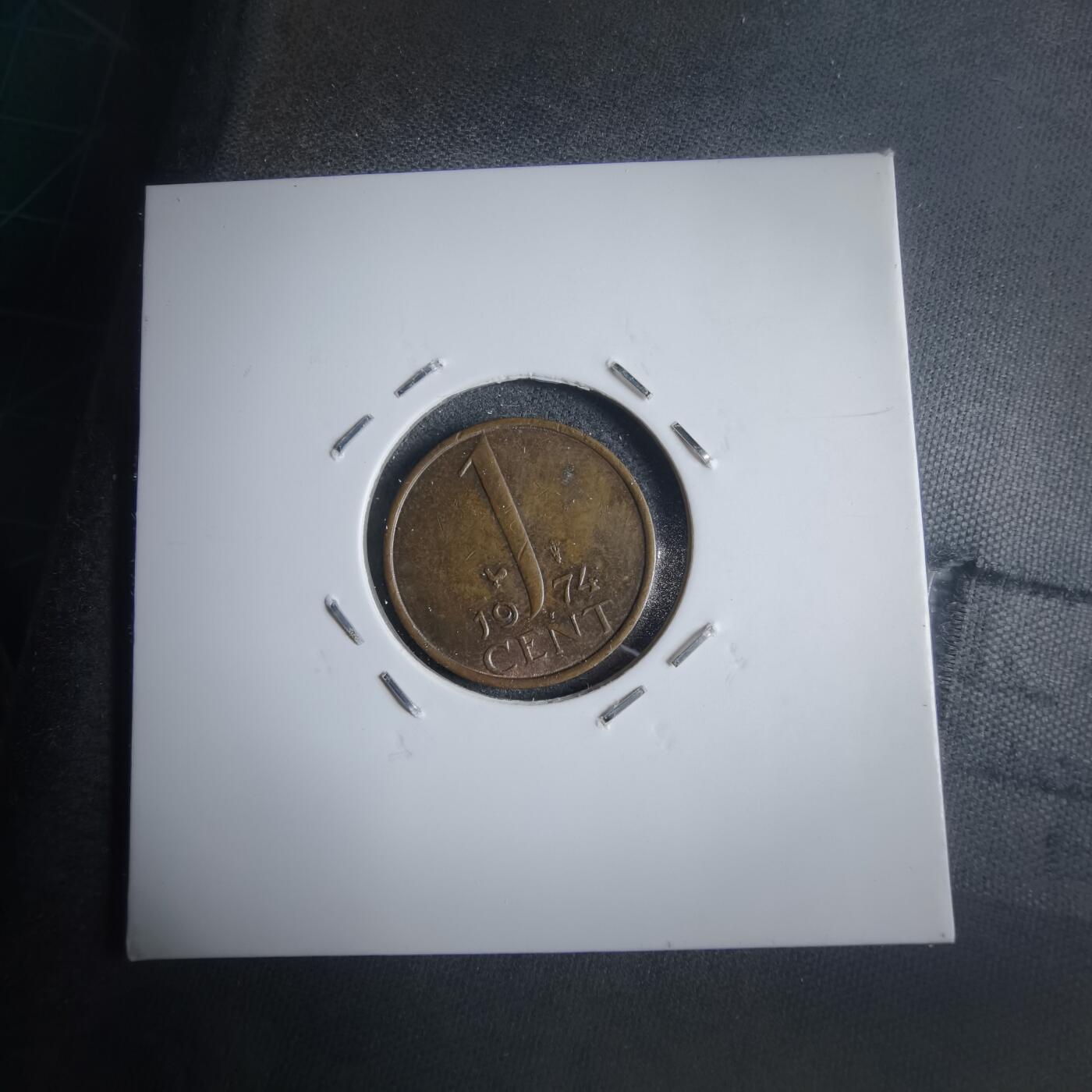 沼泽如烟--第905场