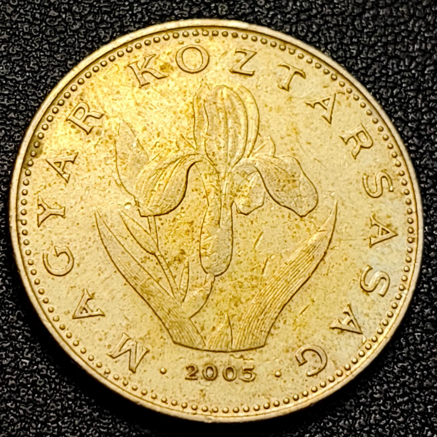 泉币菌-第129场-精品福利场（本场拍品多，请提前出价） 。