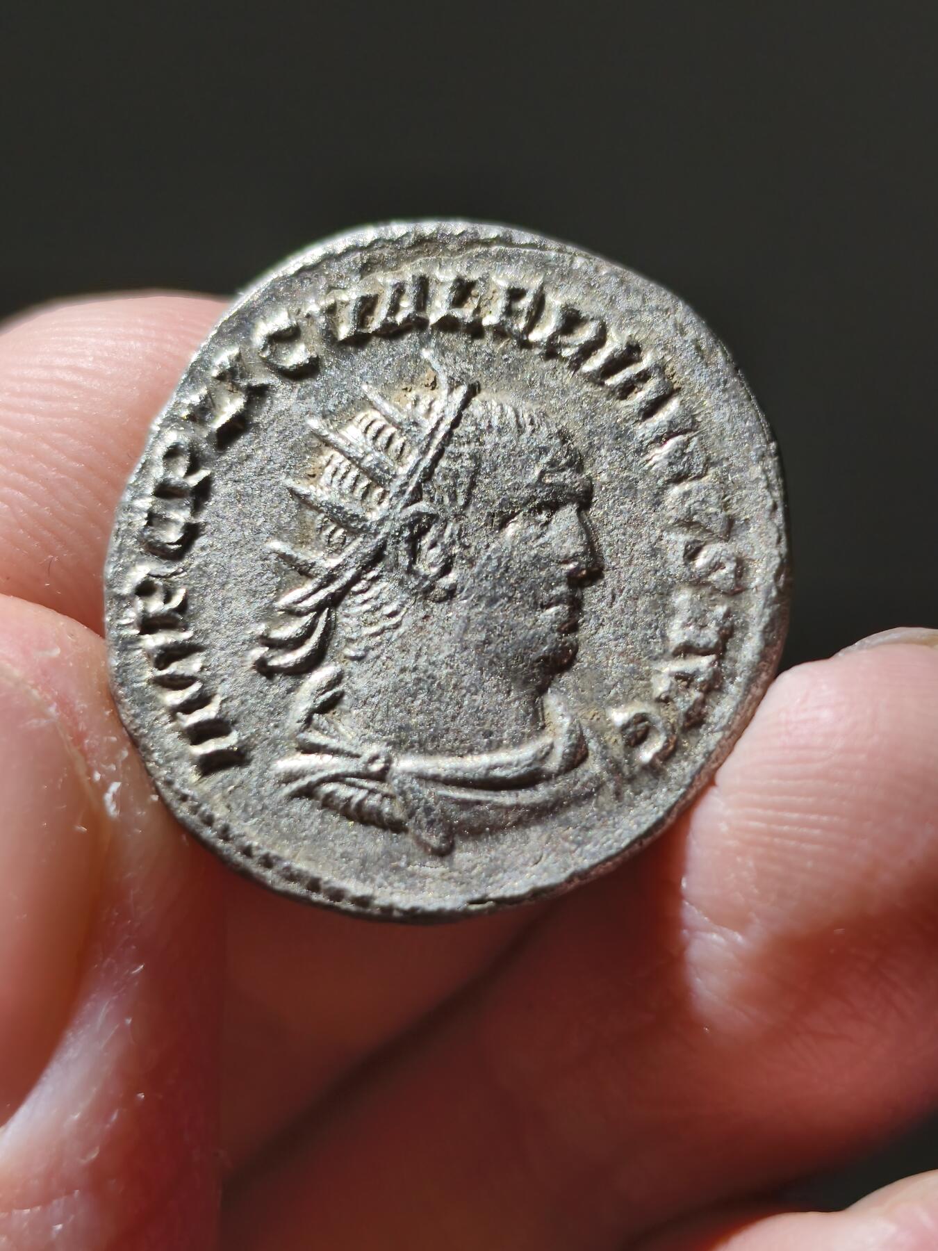 星盘世界钱币十一月二十二日古典币精品专场