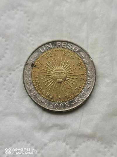 外币 - 2008年阿根廷1比索太阳娃娃