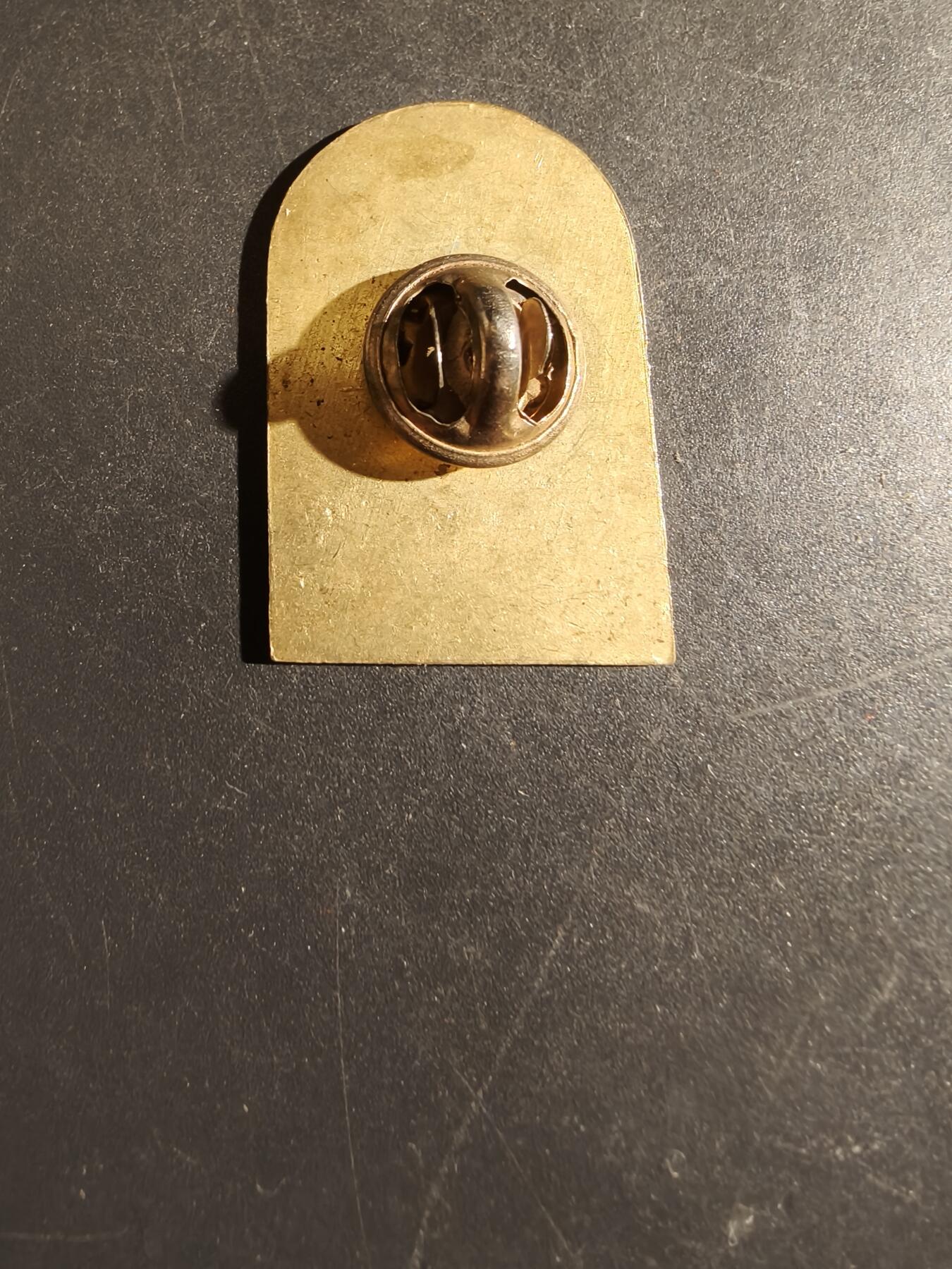 老王徽章第163期 13-15日三场连拍 16日统一发货  13、14日结束后可寄存 波兰户外登山协会40周年纪念章