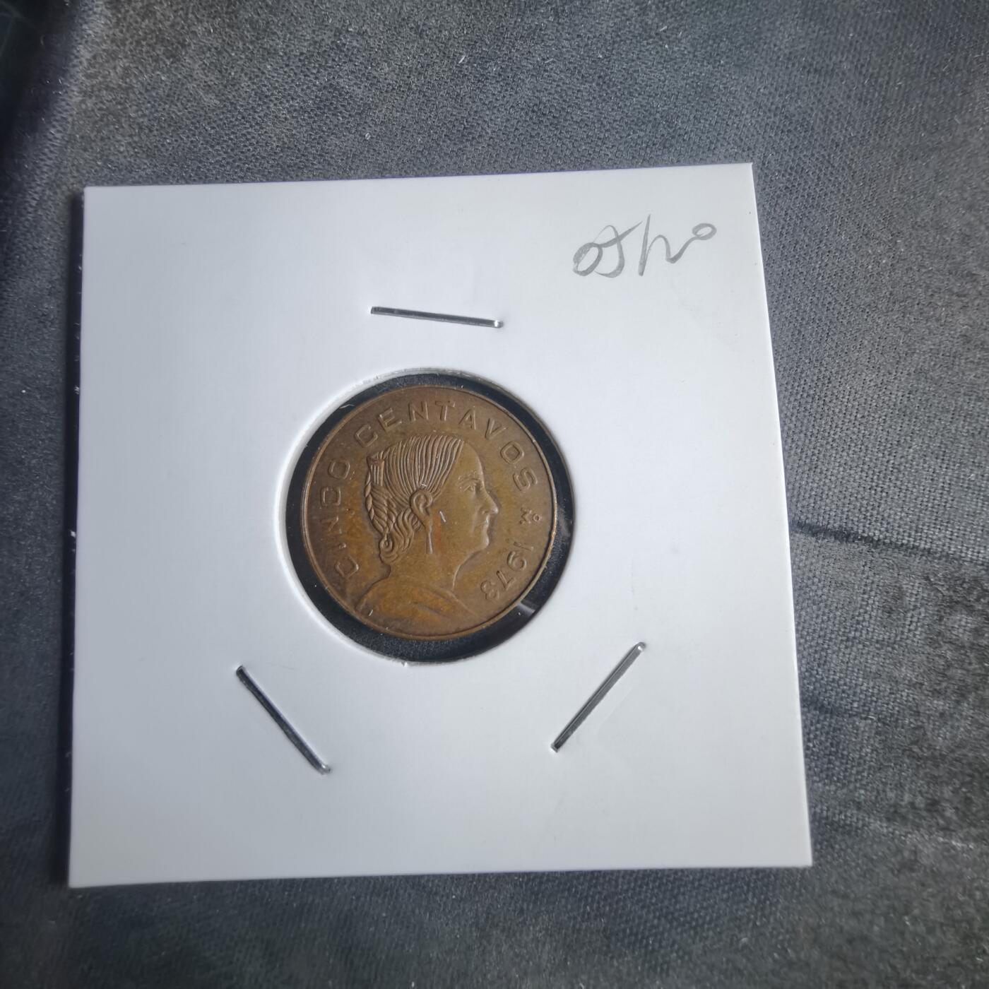 沼泽如烟--第905场