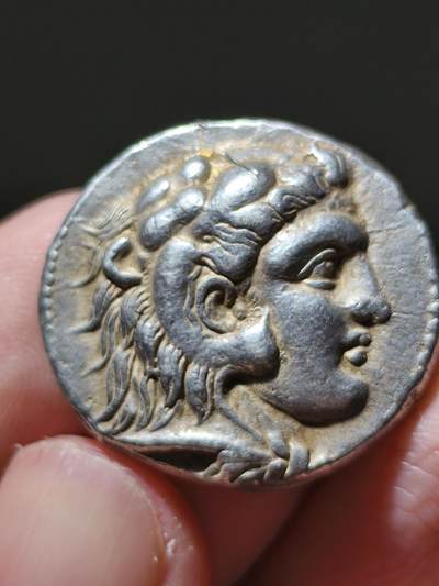 星盘世界钱币十一月二十二日古典币精品专场 - 典藏精品狮皮四德！阿拉多斯地区。托勒密一世统治时期：公元前305-前282年。 以马其顿的亚历山大三世即亚历山大大帝的名义及币制铸造