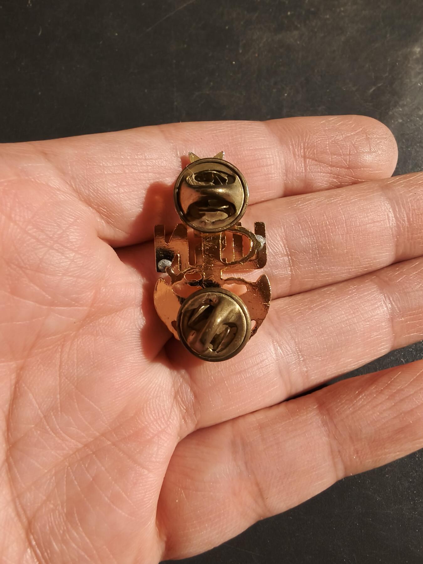 老王徽章第163期 13-15日三场连拍 16日统一发货  13、14日结束后可寄存 美国海军军士长领章