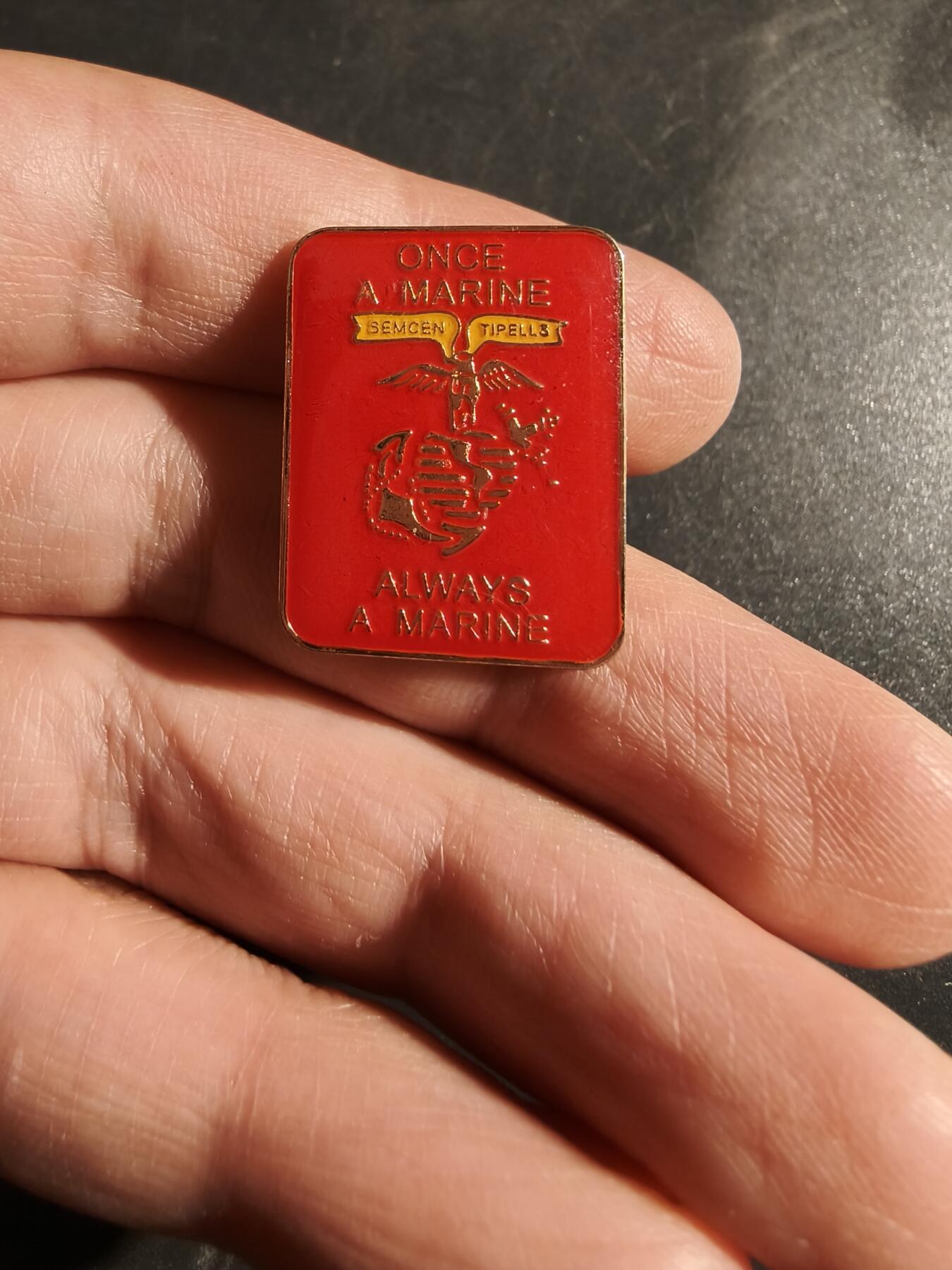 老王徽章第163期 13-15日三场连拍 16日统一发货  13、14日结束后可寄存 美国海军陆战队徽章