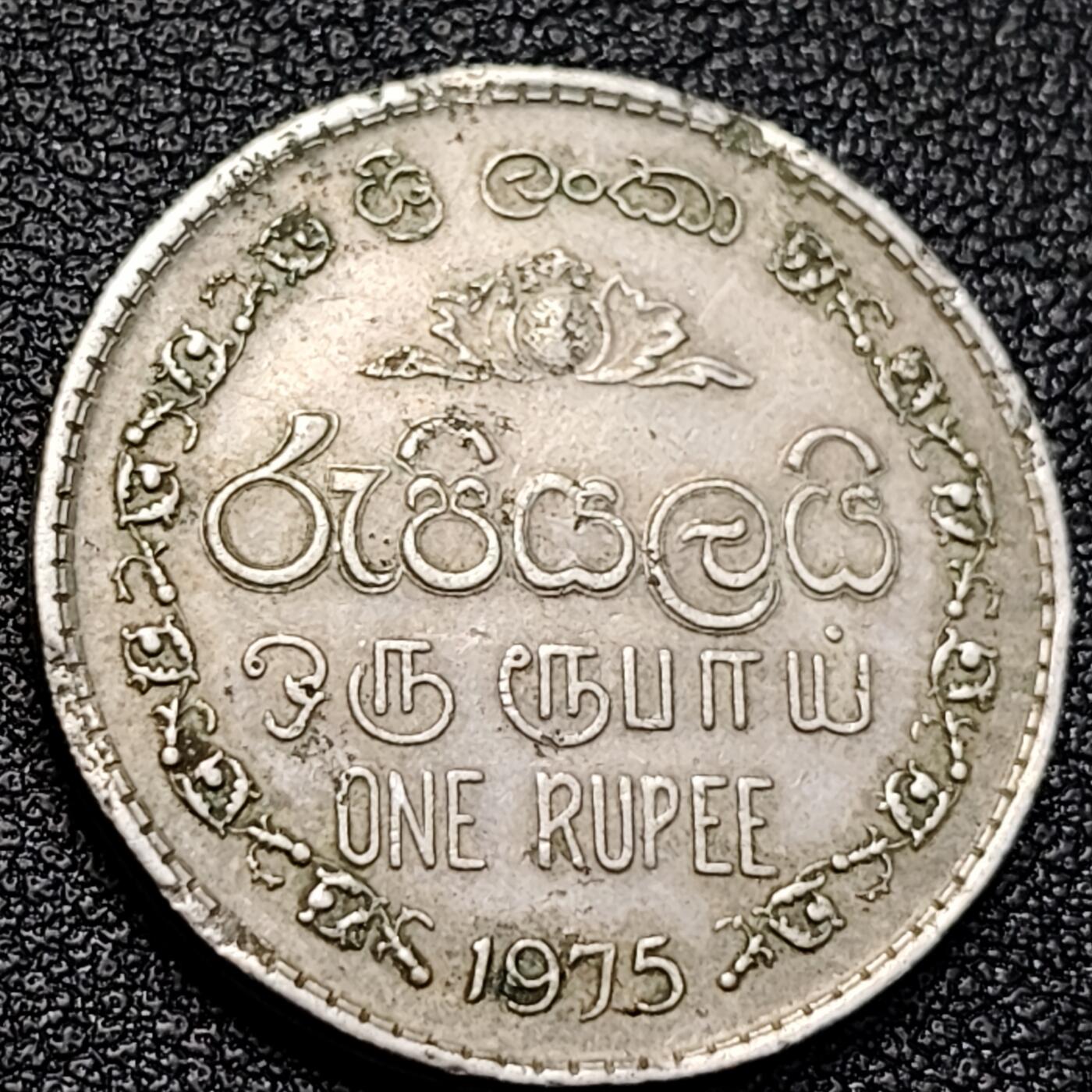 泉币菌-第129场-精品福利场（本场拍品多，请提前出价） 。