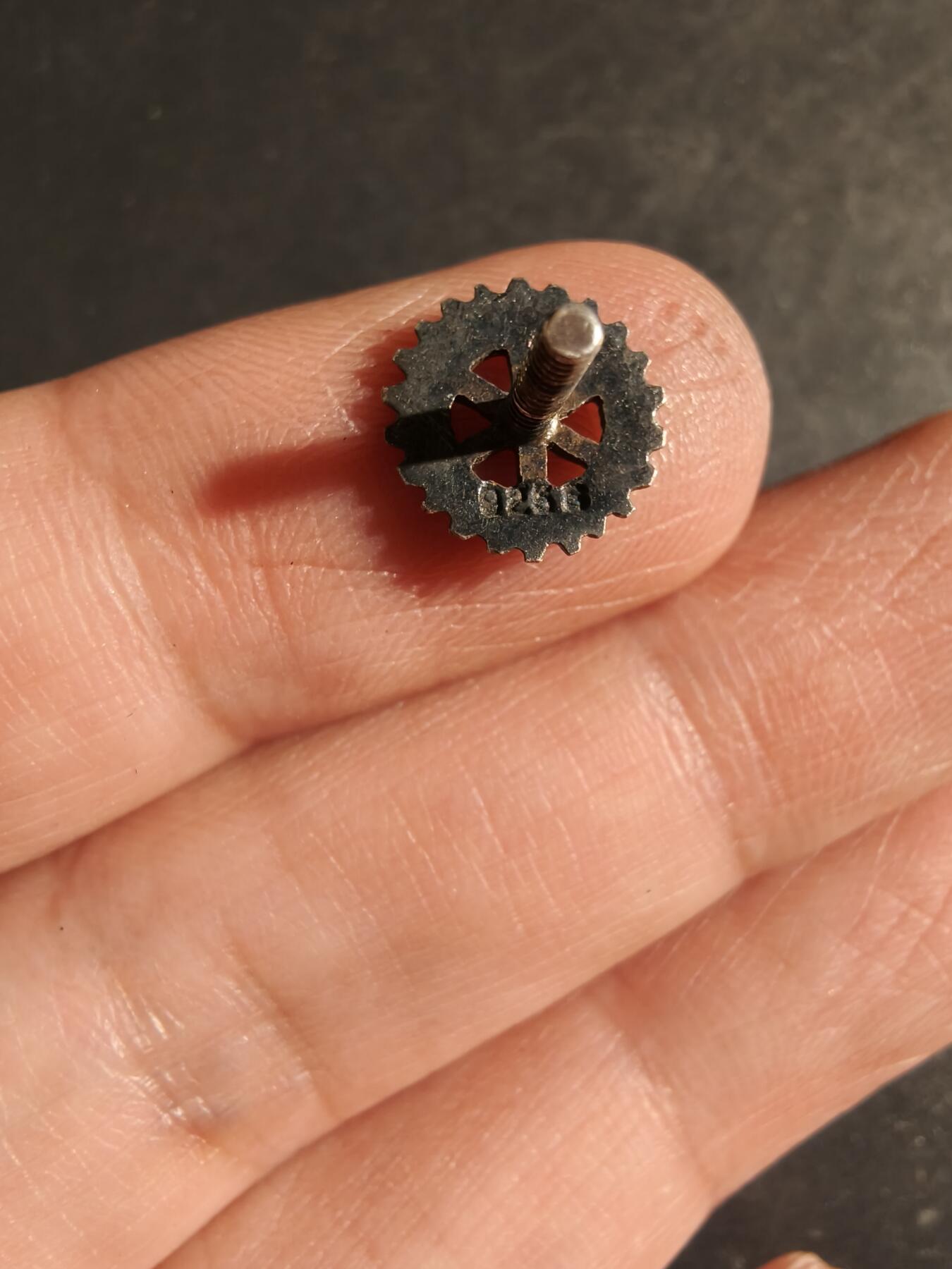 老王徽章第163期 13-15日三场连拍 16日统一发货  13、14日结束后可寄存 丹麦国际扶轮会证章    925银珐琅    1.5g