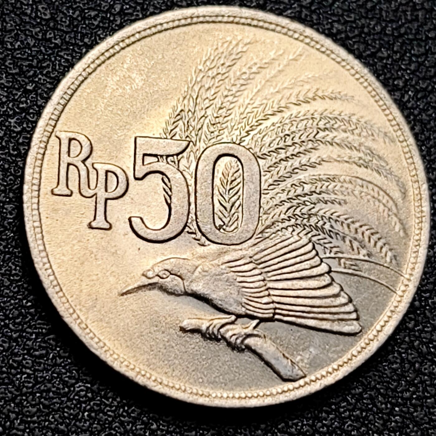 泉币菌-第129场-精品福利场（本场拍品多，请提前出价） 。