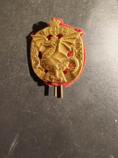 老王徽章第163期 13-15日三场连拍 16日统一发货  13、14日结束后可寄存 - 丹麦陆军德罗宁根步兵团帽徽