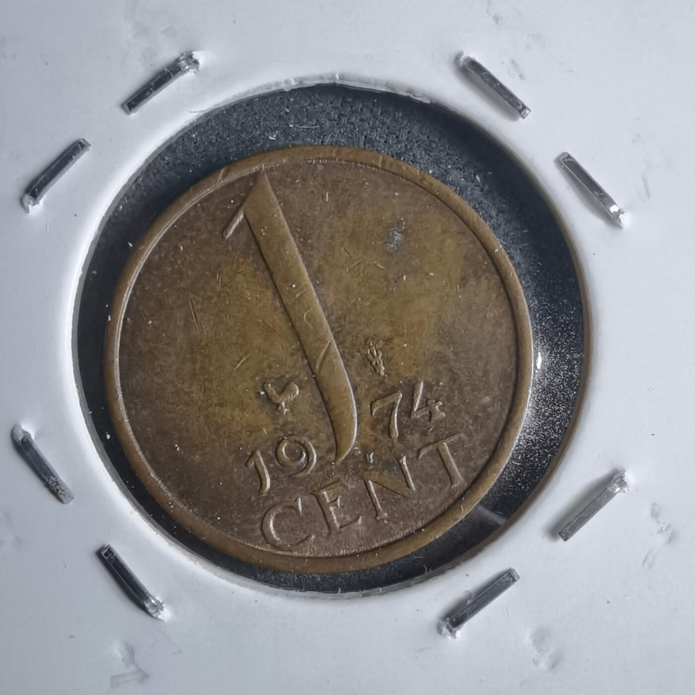 沼泽如烟--第905场