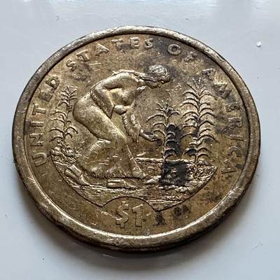 🌹外币初藏🌹🐯2025年第128场  每周二四六晚8️⃣点 接代拍 - 美国2009年1美元 印第安原住民b