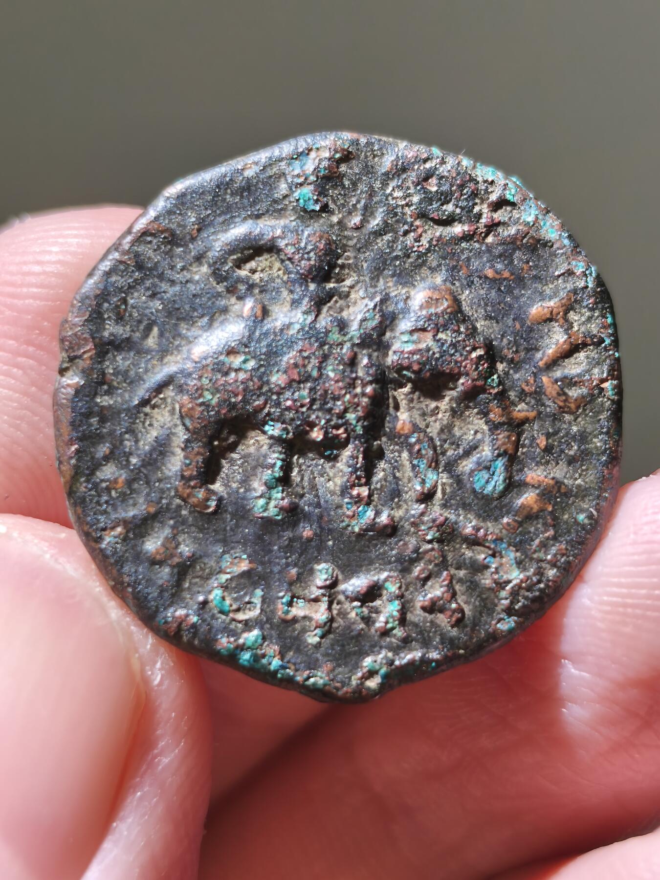 星盘世界钱币十一月二十二日古典币精品专场