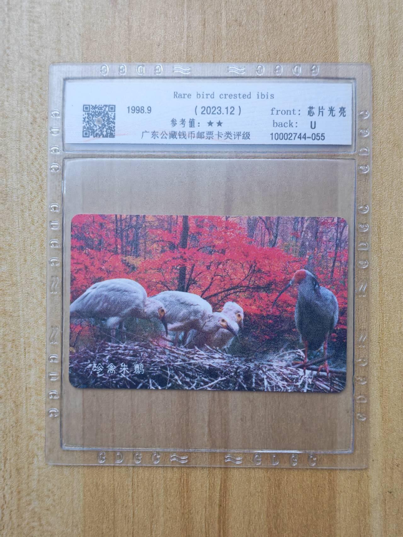 （手机SIM卡 IC卡 交通卡 磁卡）第08期2025年11月16日晚21：10时延时截拍