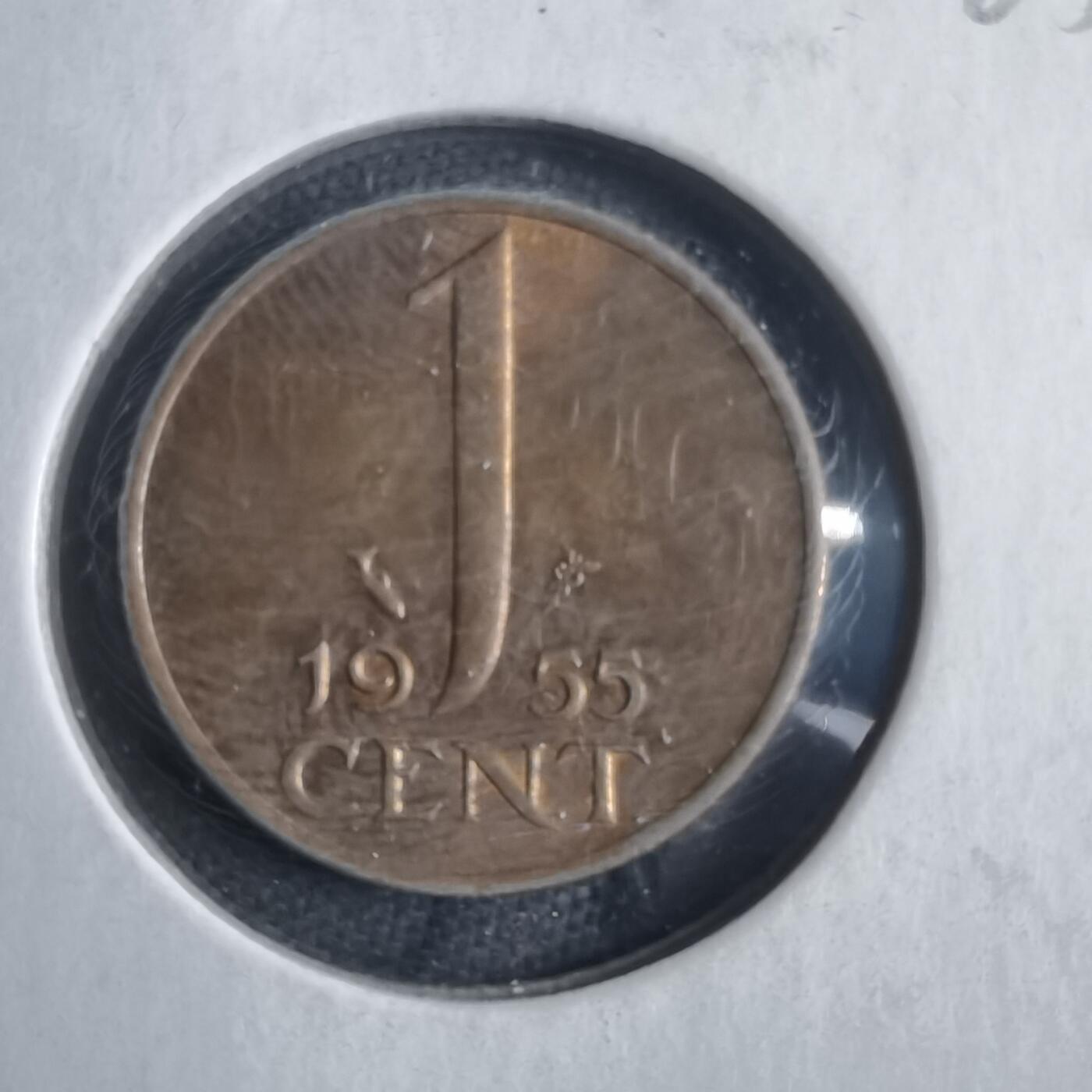 沼泽如烟--第905场