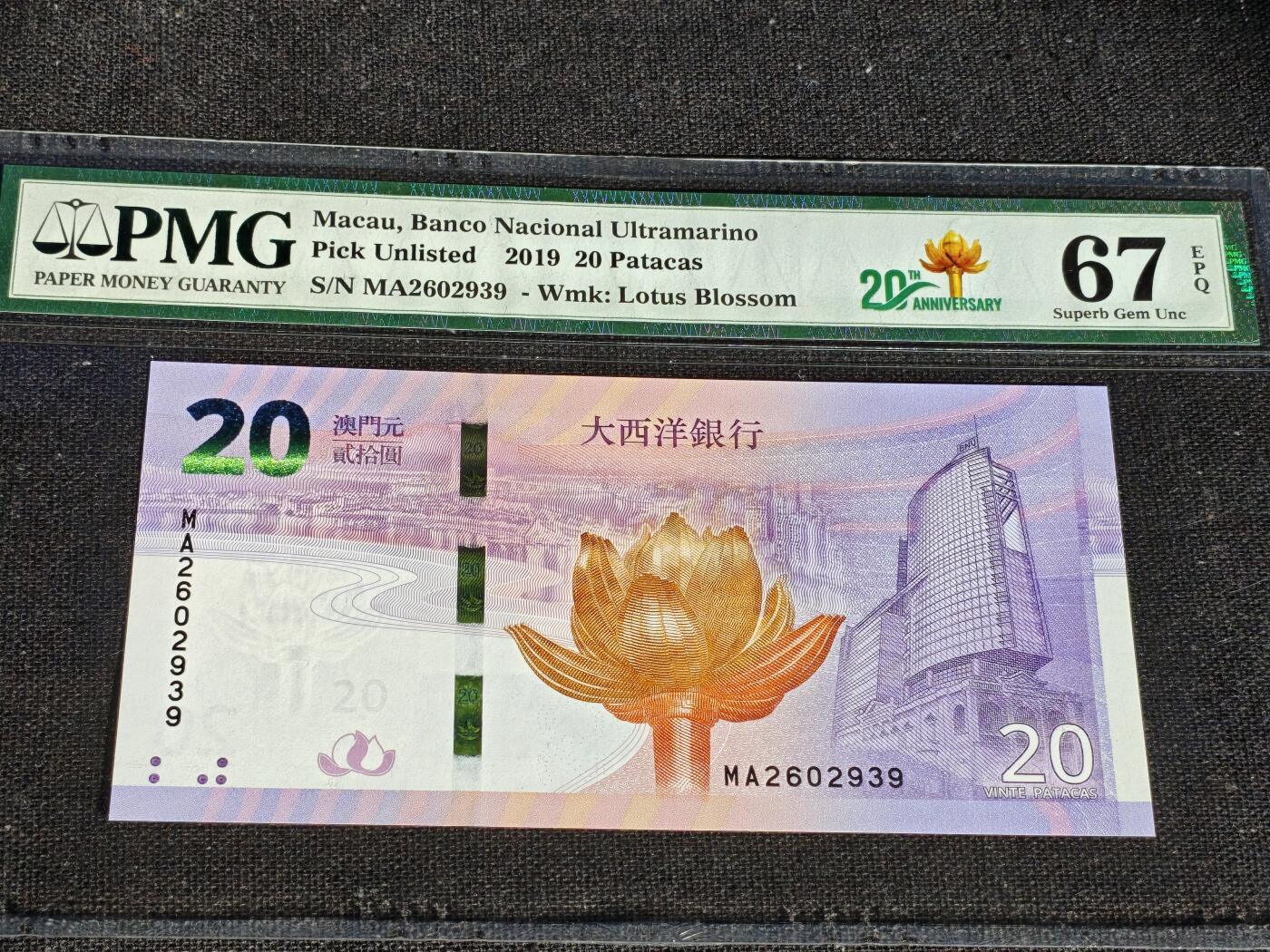 刘世昌艺术品销售中心～虎踞龙蟠*金杨在线联拍群第509期