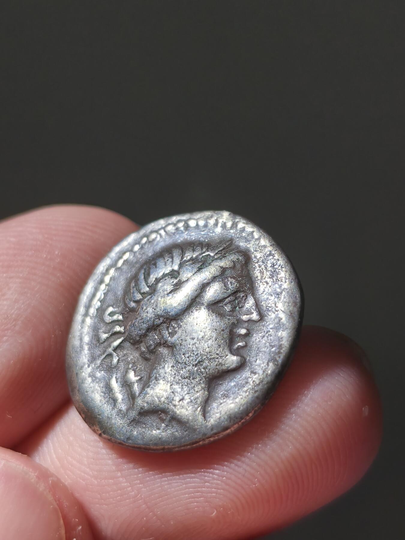 星盘世界钱币十一月二十二日古典币精品专场