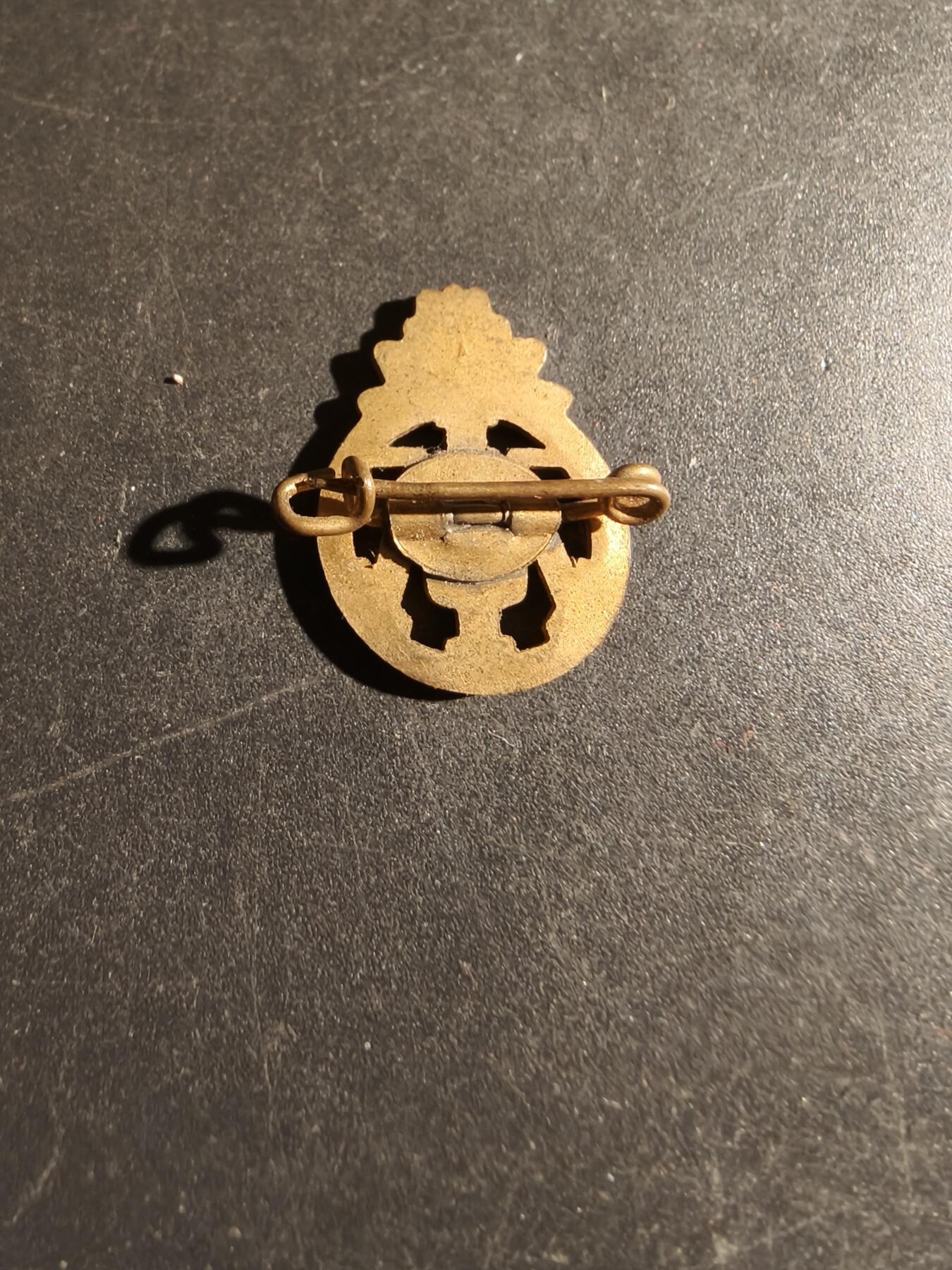 老王徽章第163期 13-15日三场连拍 16日统一发货  13、14日结束后可寄存 丹麦陆军服役徽章徽章