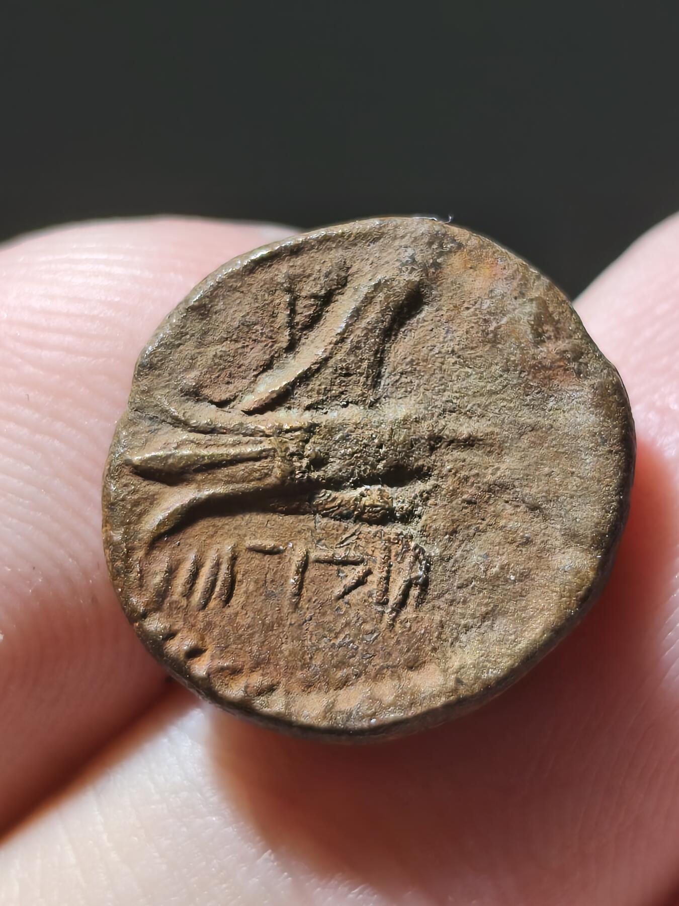 星盘世界钱币十一月二十二日古典币精品专场