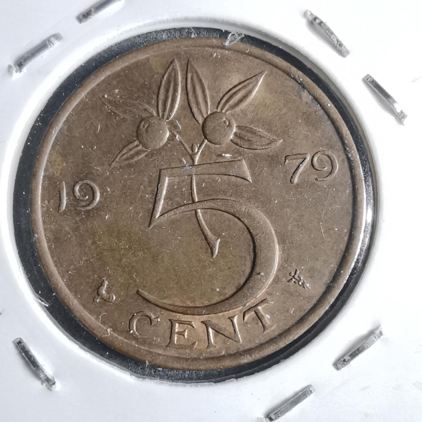 沼泽如烟--第905场