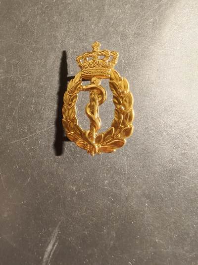 老王徽章第163期 13-15日三场连拍 16日统一发货  13、14日结束后可寄存 - 丹麦军医帽徽徽章