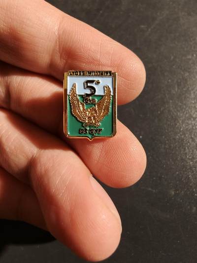 老王徽章第163期 13-15日三场连拍 16日统一发货  13、14日结束后可寄存 - 法国圣西尔军校第5连徽章