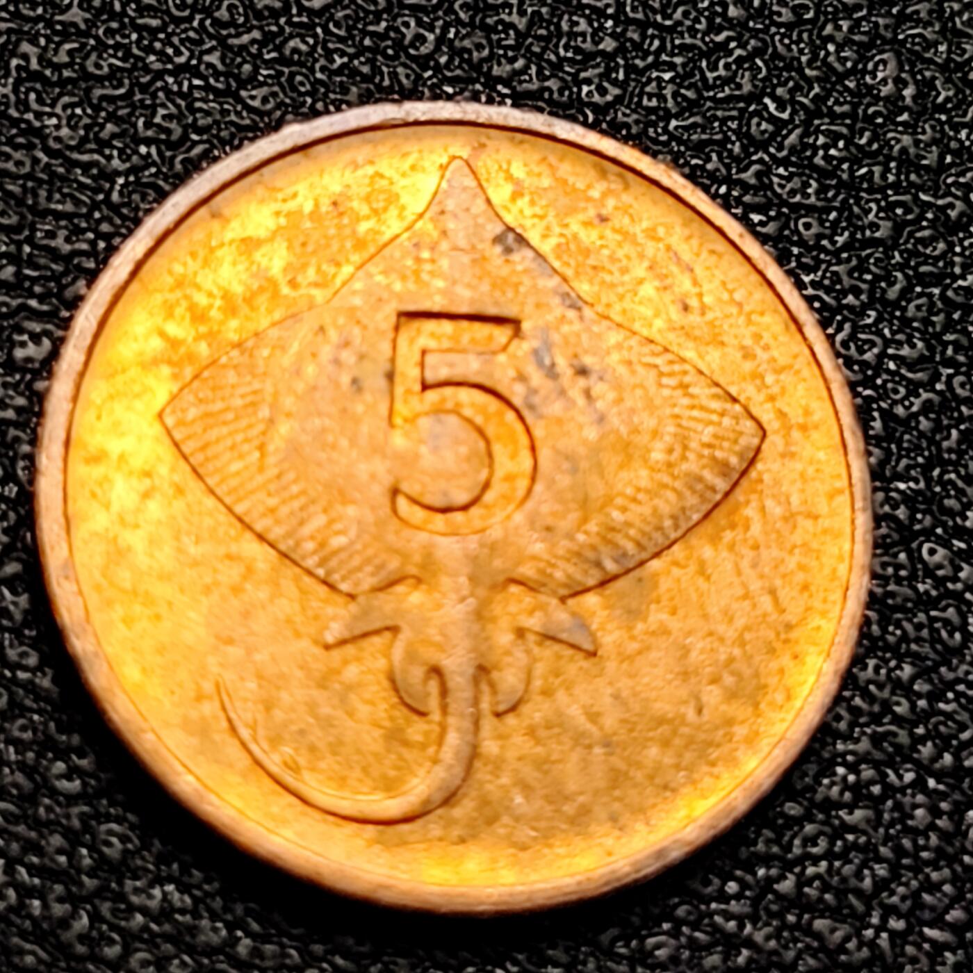 泉币菌-第129场-精品福利场（本场拍品多，请提前出价） 。