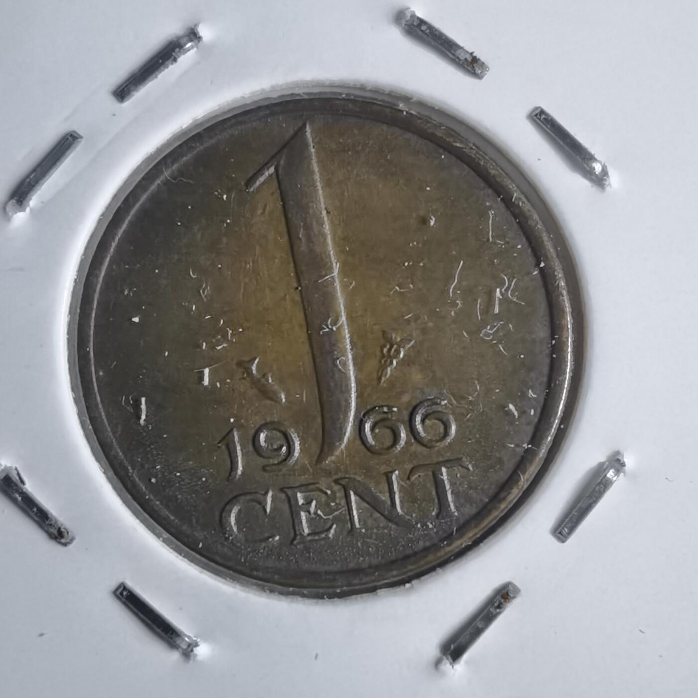 沼泽如烟--第905场