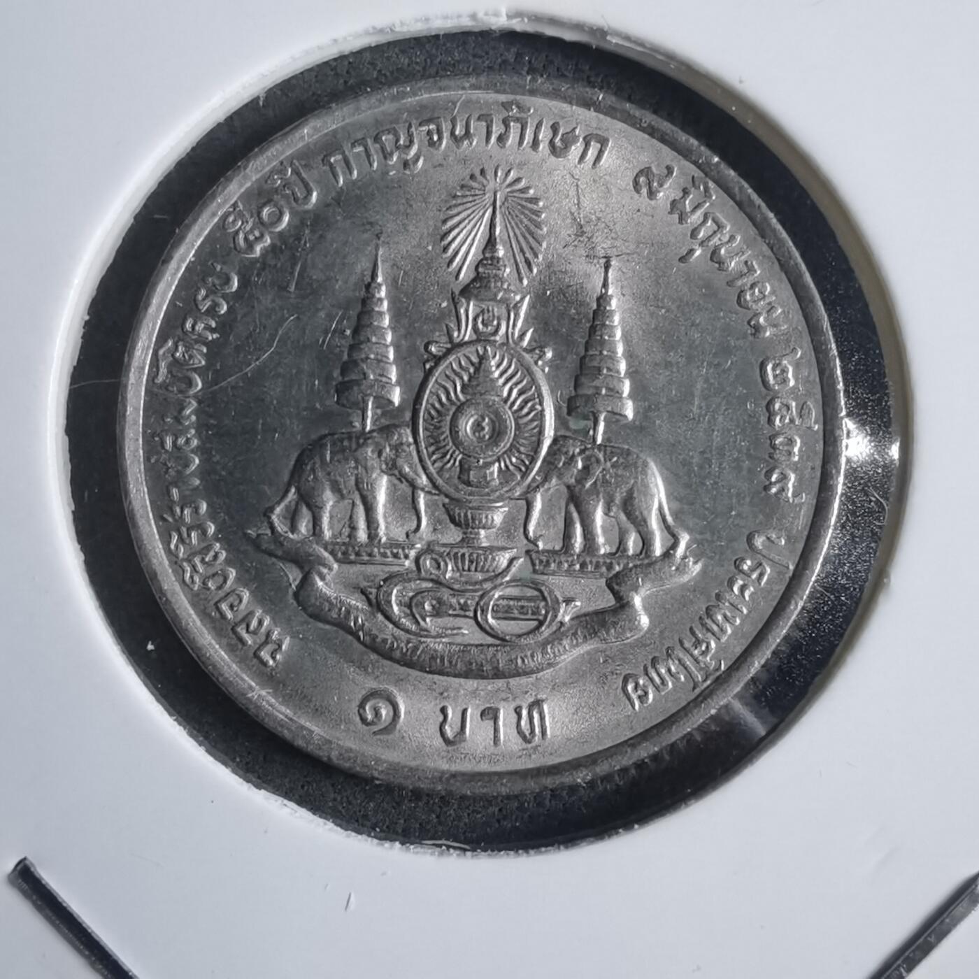 沼泽如烟--第905场