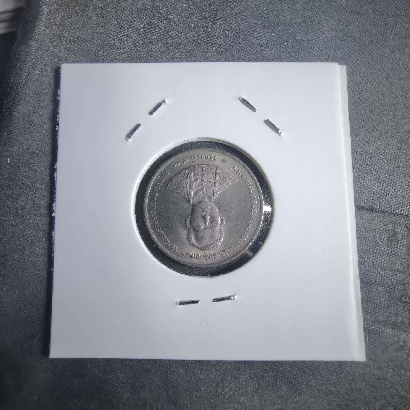 沼泽如烟--第905场