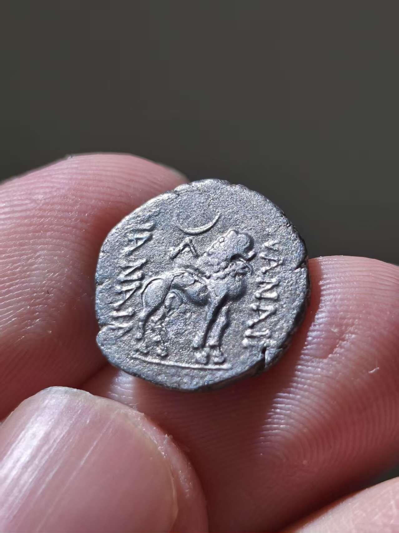 星盘世界钱币十一月二十二日古典币精品专场