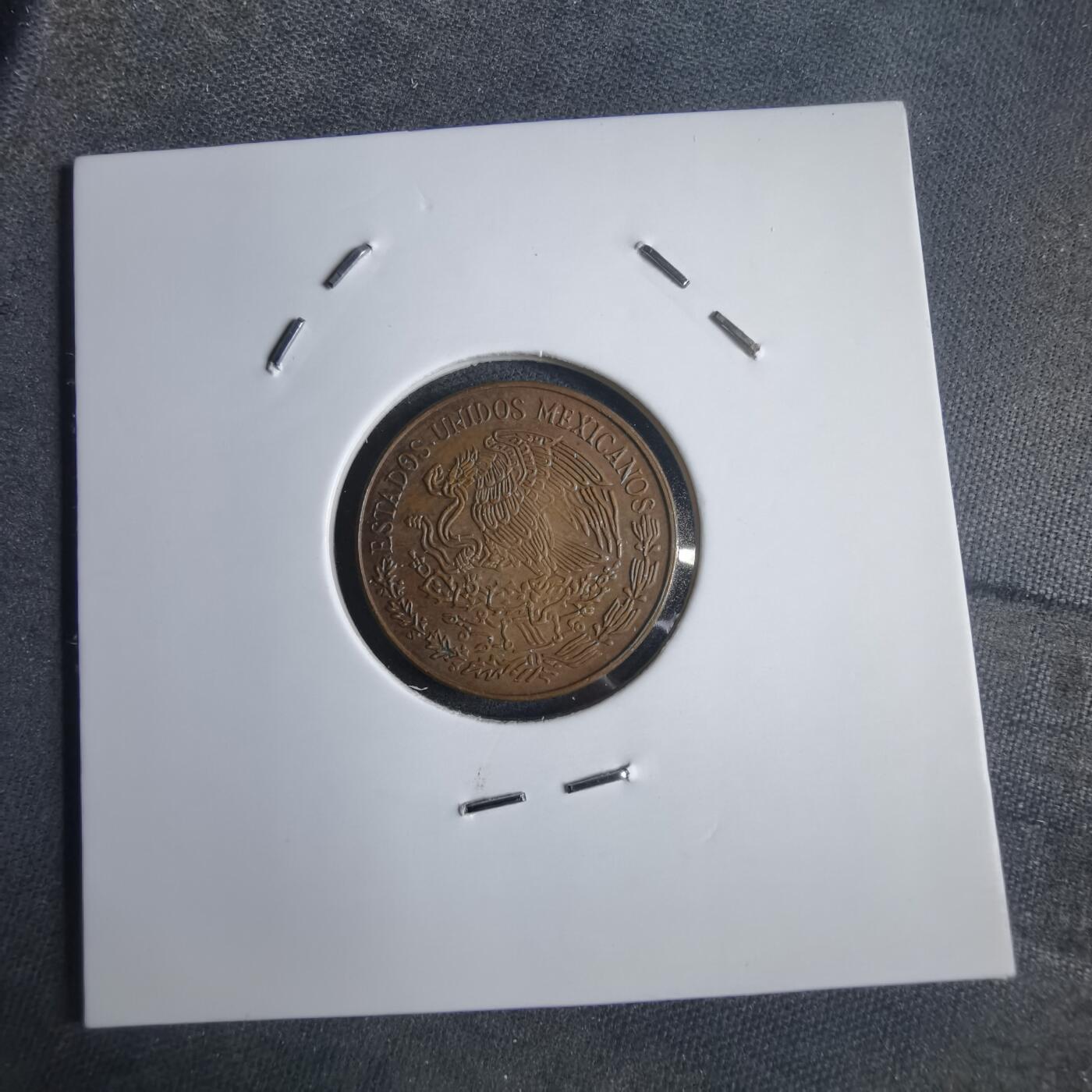 沼泽如烟--第905场