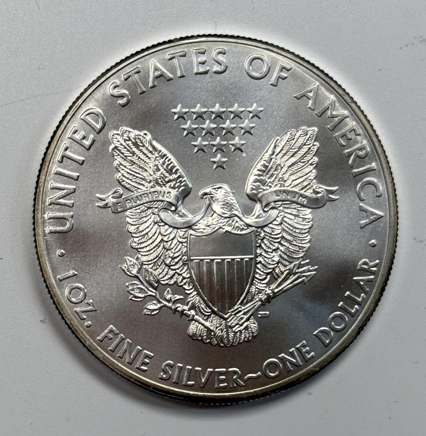 S&S Numismatic世界钱币-拍卖 第115期  美国2013年 自由行走女神 1美元1盎司投资银币 31.1克999银