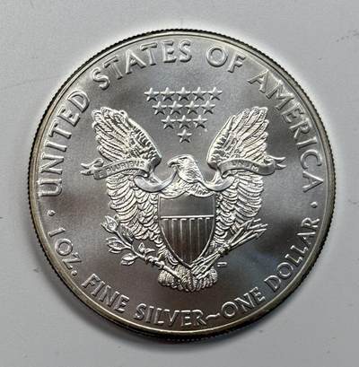 S&S Numismatic世界钱币-拍卖 第115期  - 美国2013年 自由行走女神 1美元1盎司投资银币 31.1克999银