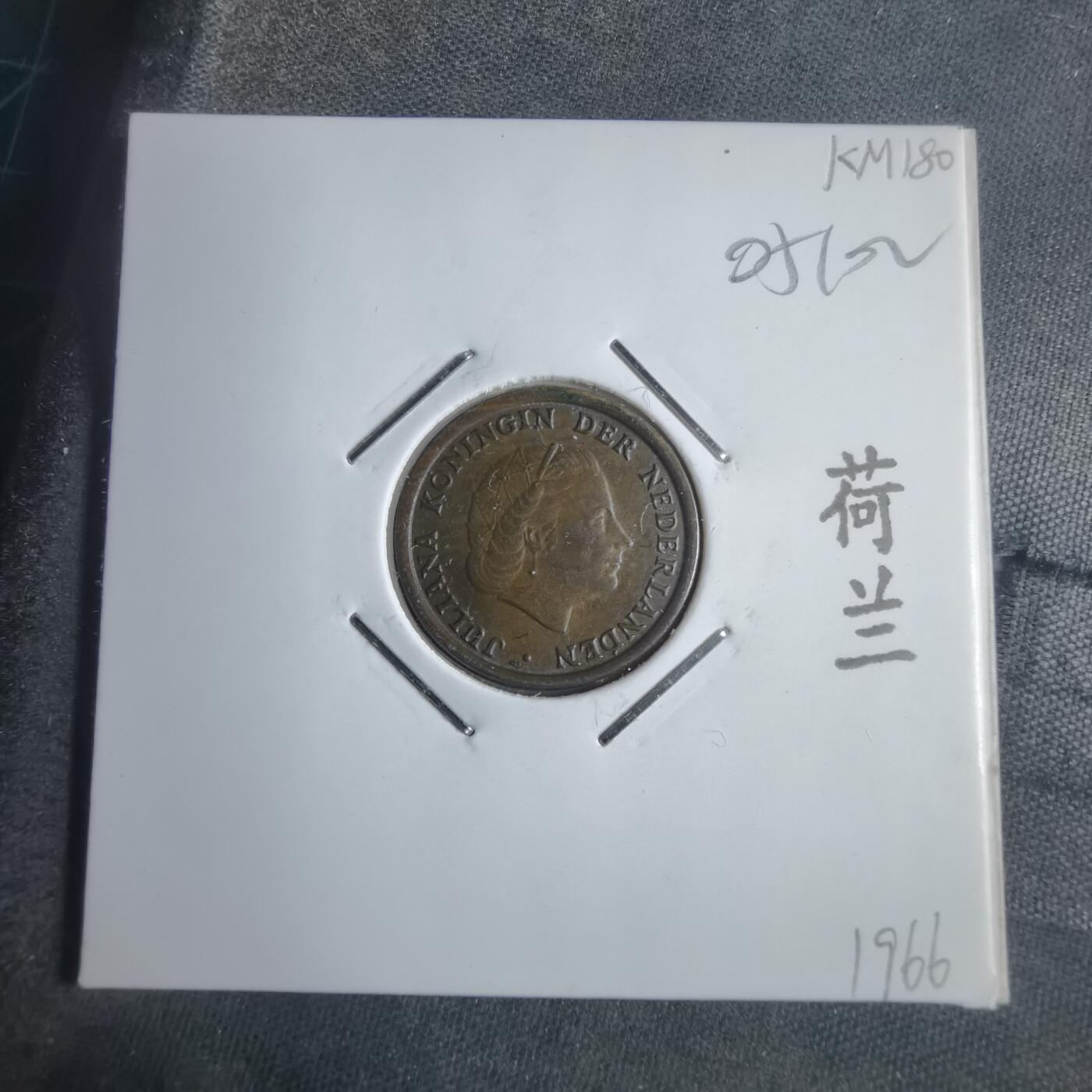 沼泽如烟--第905场