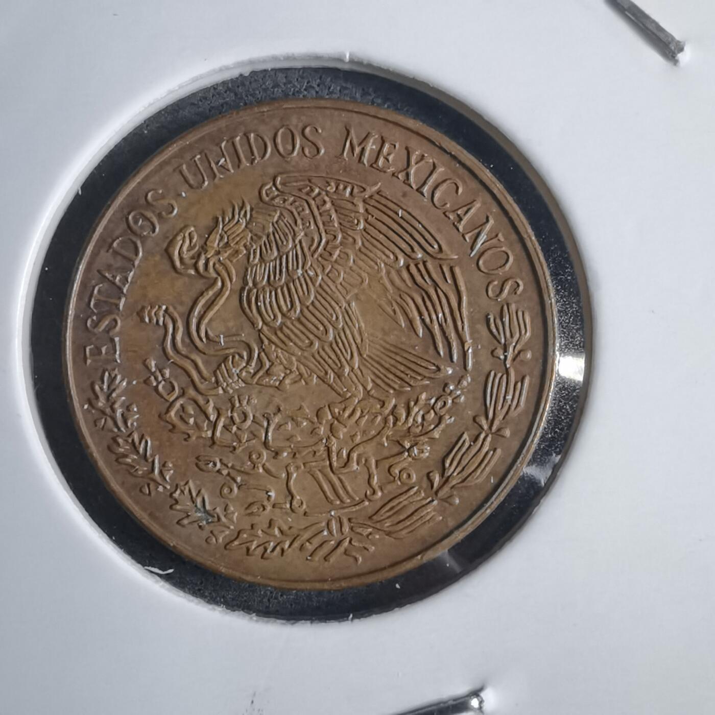 沼泽如烟--第905场