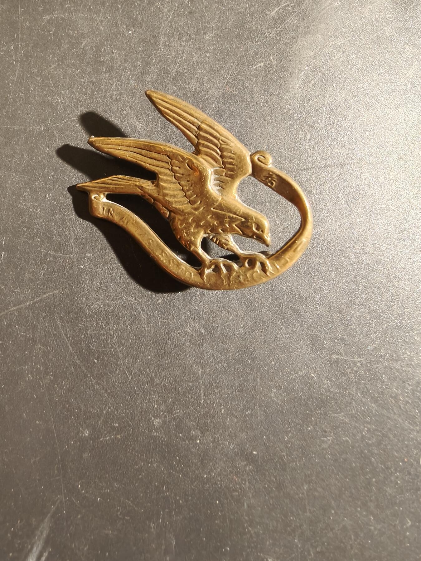 老王徽章第163期 13-15日三场连拍 16日统一发货  13、14日结束后可寄存 丹麦轻骑兵卫队帽徽