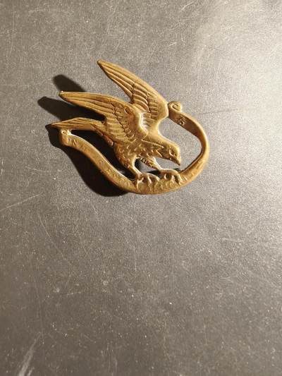 老王徽章第163期 13-15日三场连拍 16日统一发货  13、14日结束后可寄存 - 丹麦轻骑兵卫队帽徽