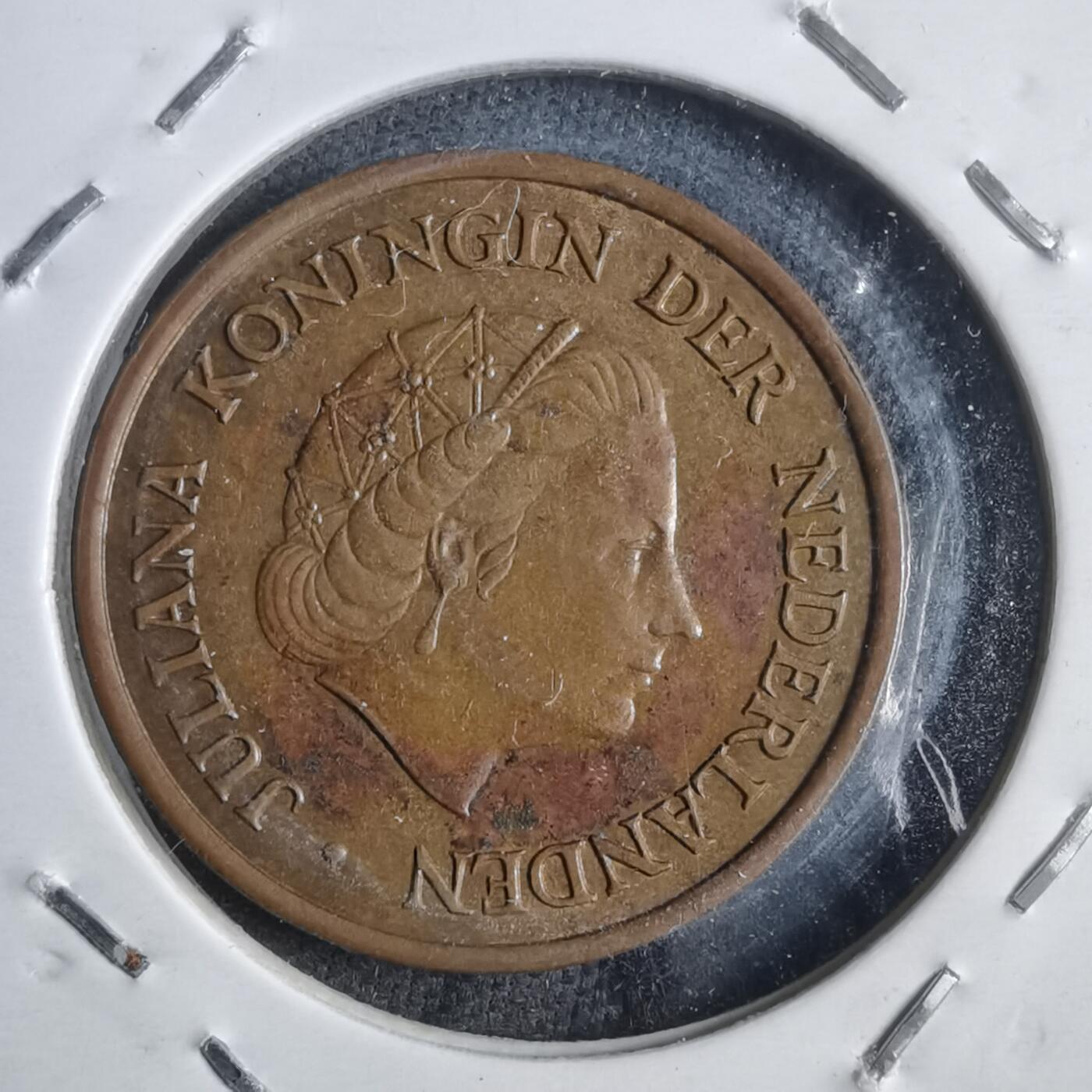 沼泽如烟--第905场