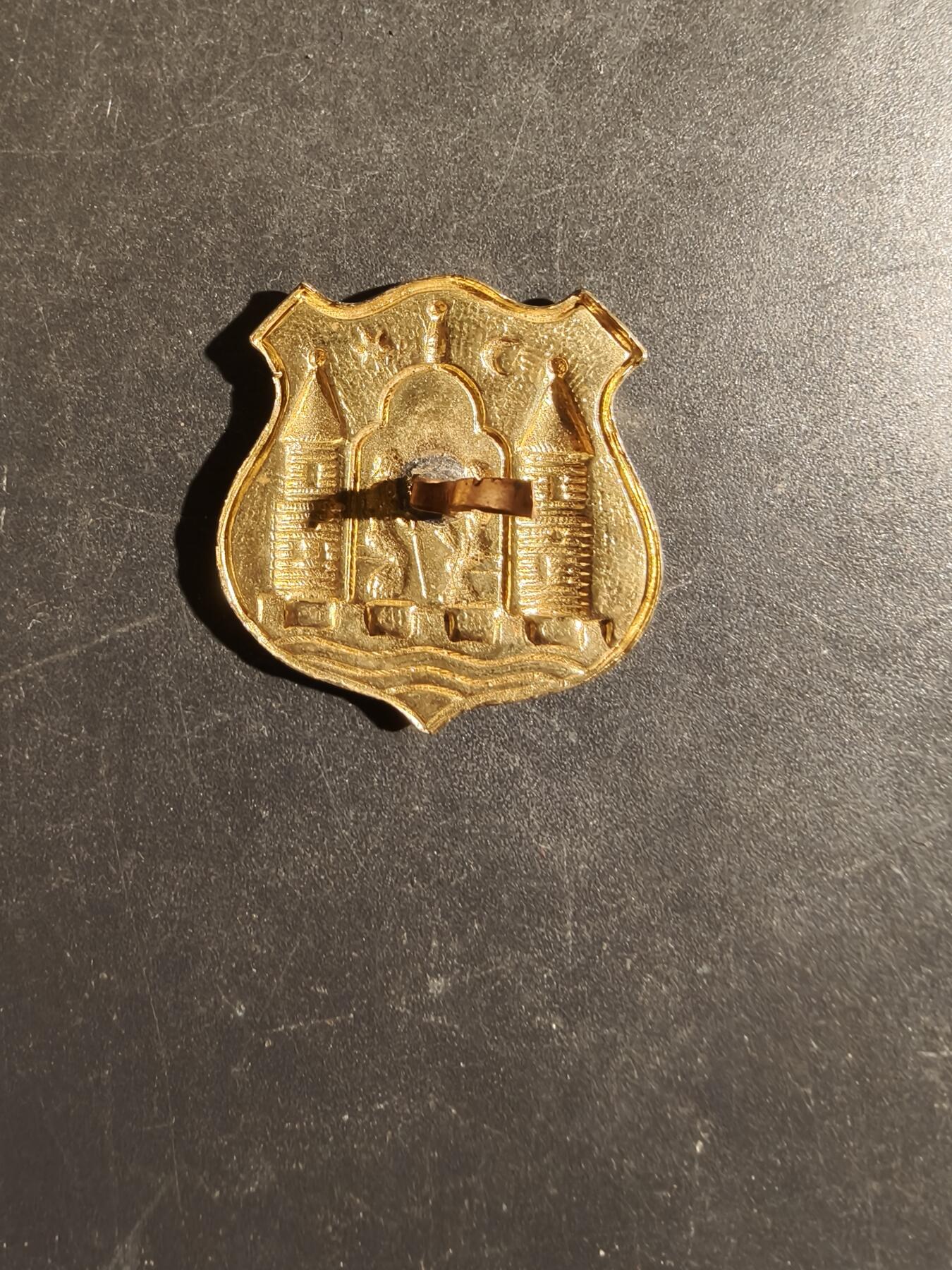 老王徽章第163期 13-15日三场连拍 16日统一发货  13、14日结束后可寄存 丹麦徽章