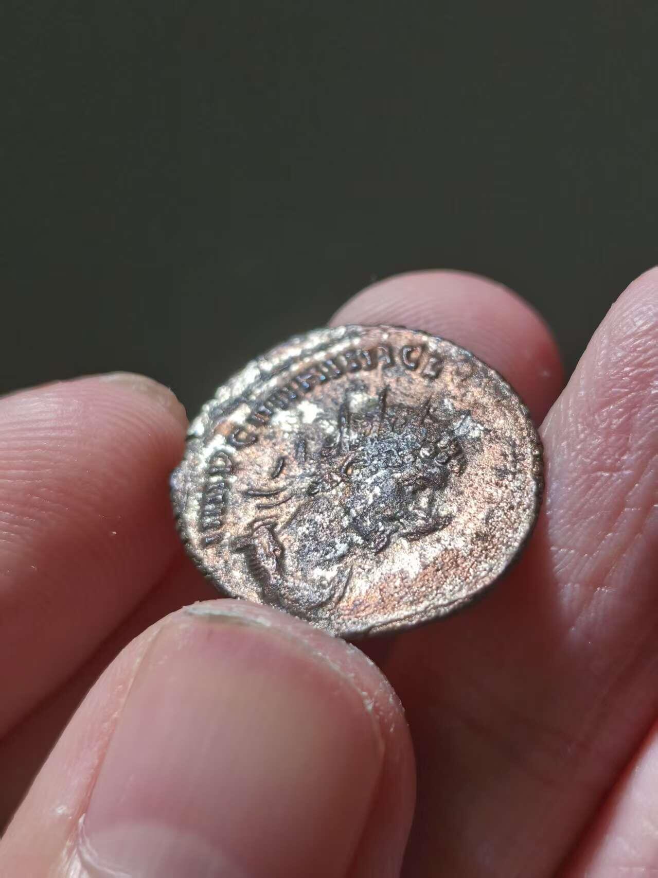 星盘世界钱币十一月二十二日古典币精品专场