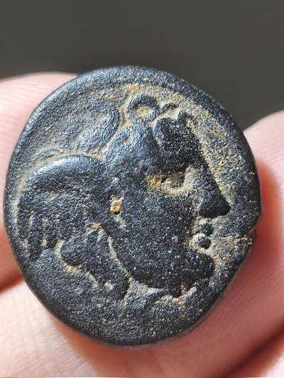 星盘世界钱币十一月二十二日古典币精品专场 - 典藏名誉品！希腊化塞琉古帝国 塞琉古一世 美杜莎翅膀头像铜币 前312-281年 背面著名的华尔街公牛的原型牛形象 牛气冲天