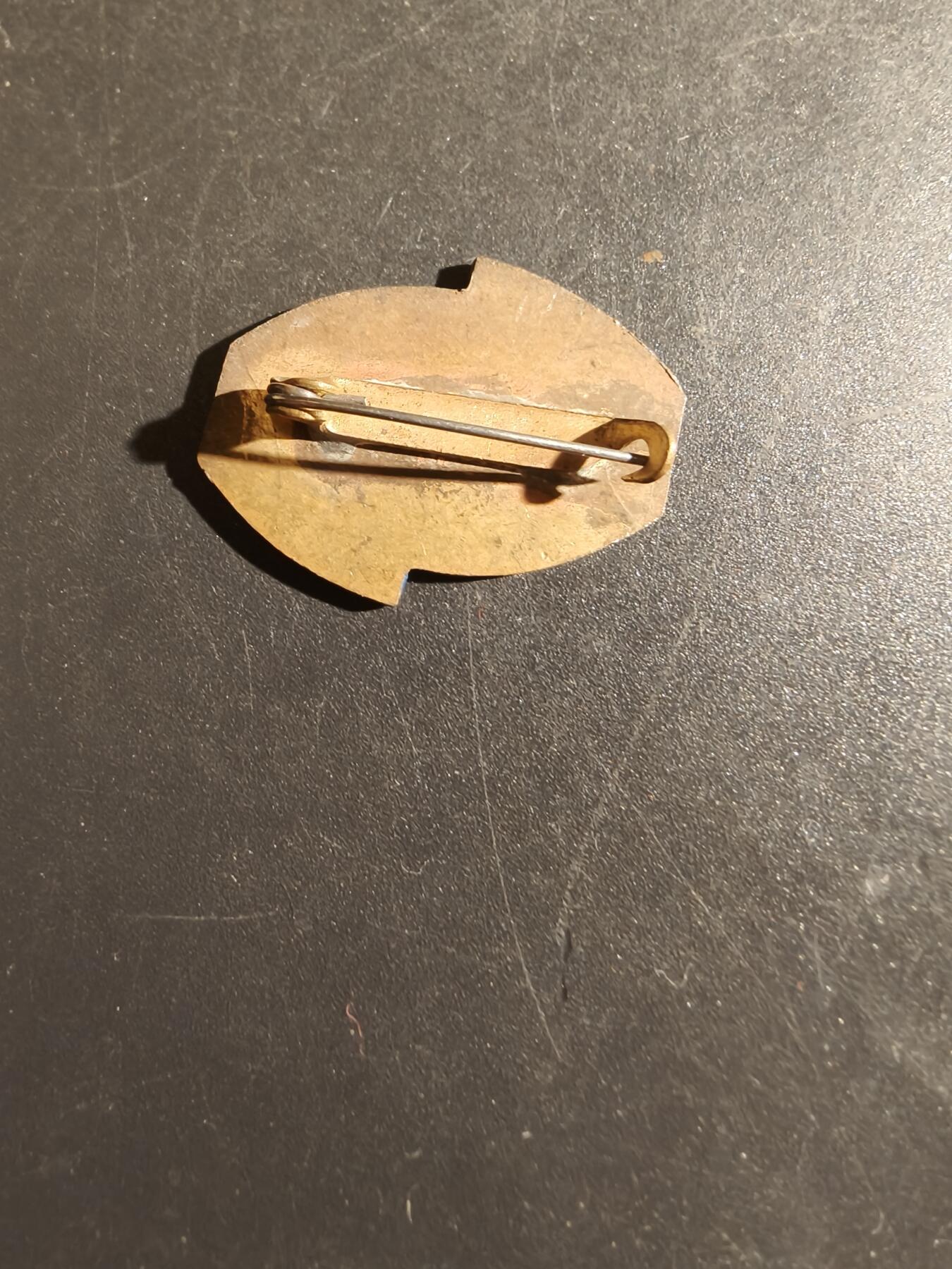 老王徽章第163期 13-15日三场连拍 16日统一发货  13、14日结束后可寄存 波兰华沙俄语教师和俄语文学国际协会徽章