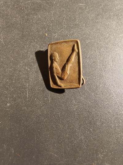 老王徽章第163期 13-15日三场连拍 16日统一发货  13、14日结束后可寄存 - 丹麦体操协会徽章