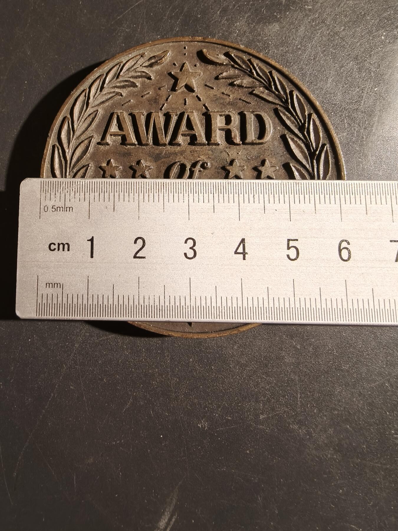 老王徽章第163期 13-15日三场连拍 16日统一发货  13、14日结束后可寄存 美国功绩纪念章     直径62mm.    重量92.4g