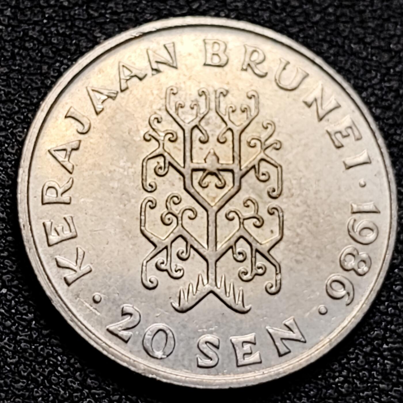 泉币菌-第129场-精品福利场（本场拍品多，请提前出价） 。