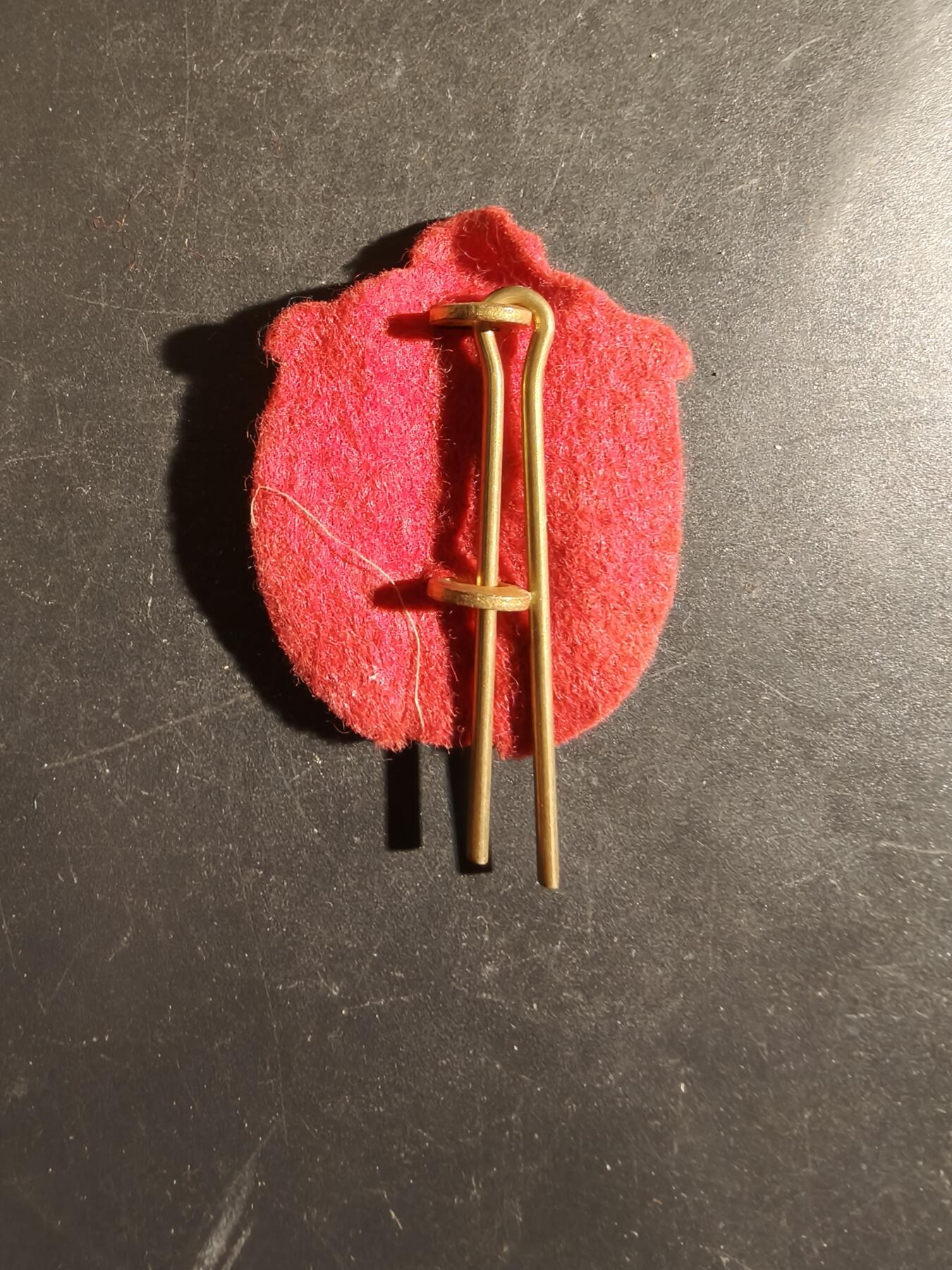 老王徽章第163期 13-15日三场连拍 16日统一发货  13、14日结束后可寄存 丹麦陆军德罗宁根步兵团帽徽