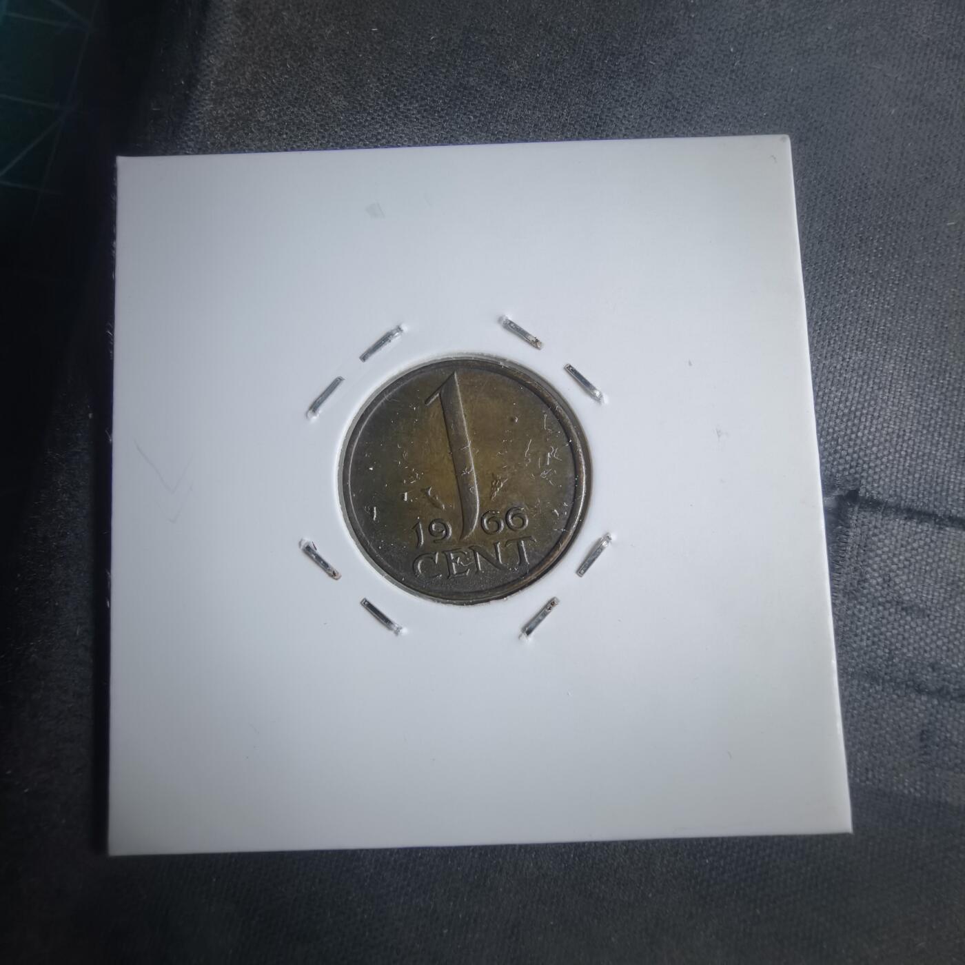 沼泽如烟--第905场