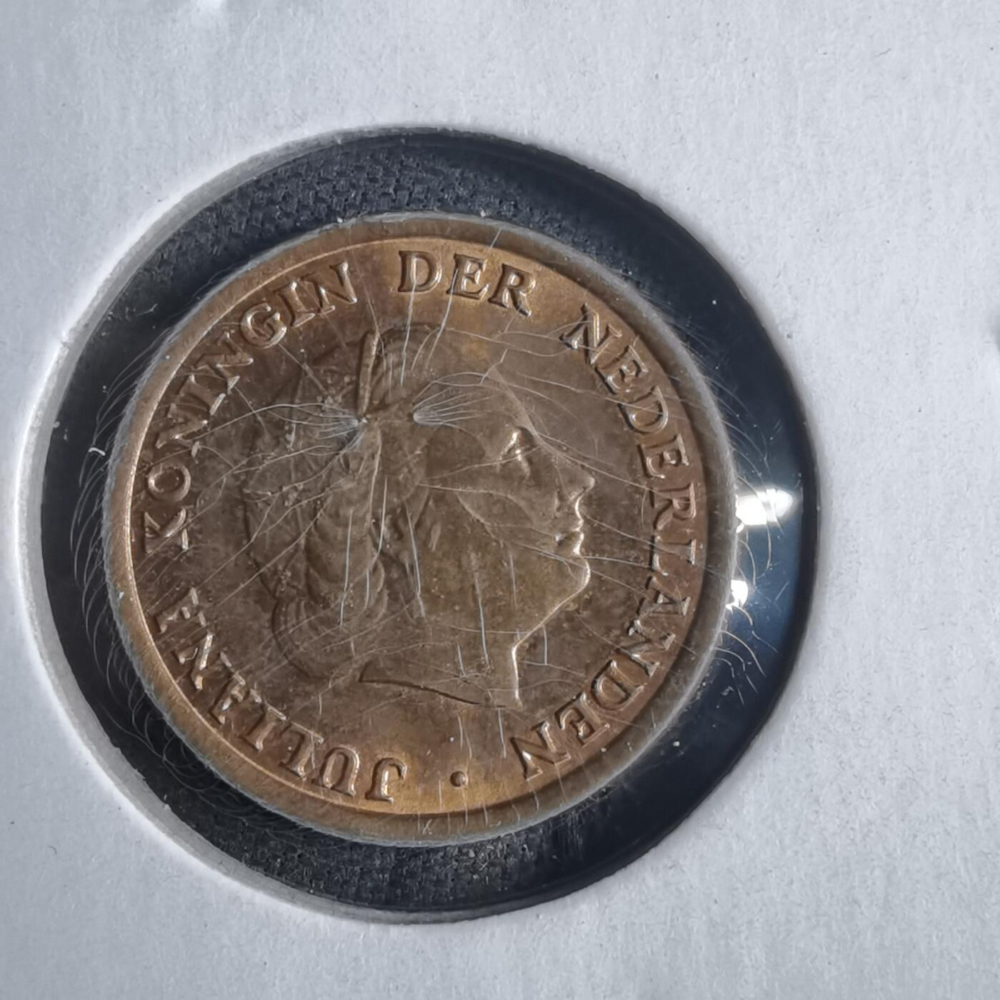 沼泽如烟--第905场