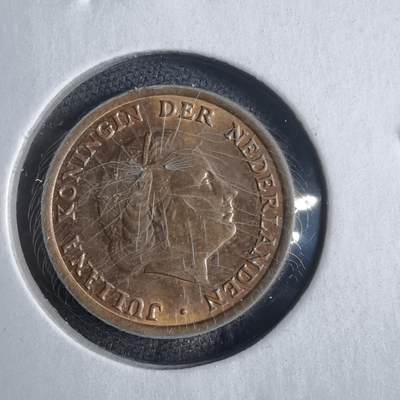 沼泽如烟--第905场 - 荷兰1955年一分