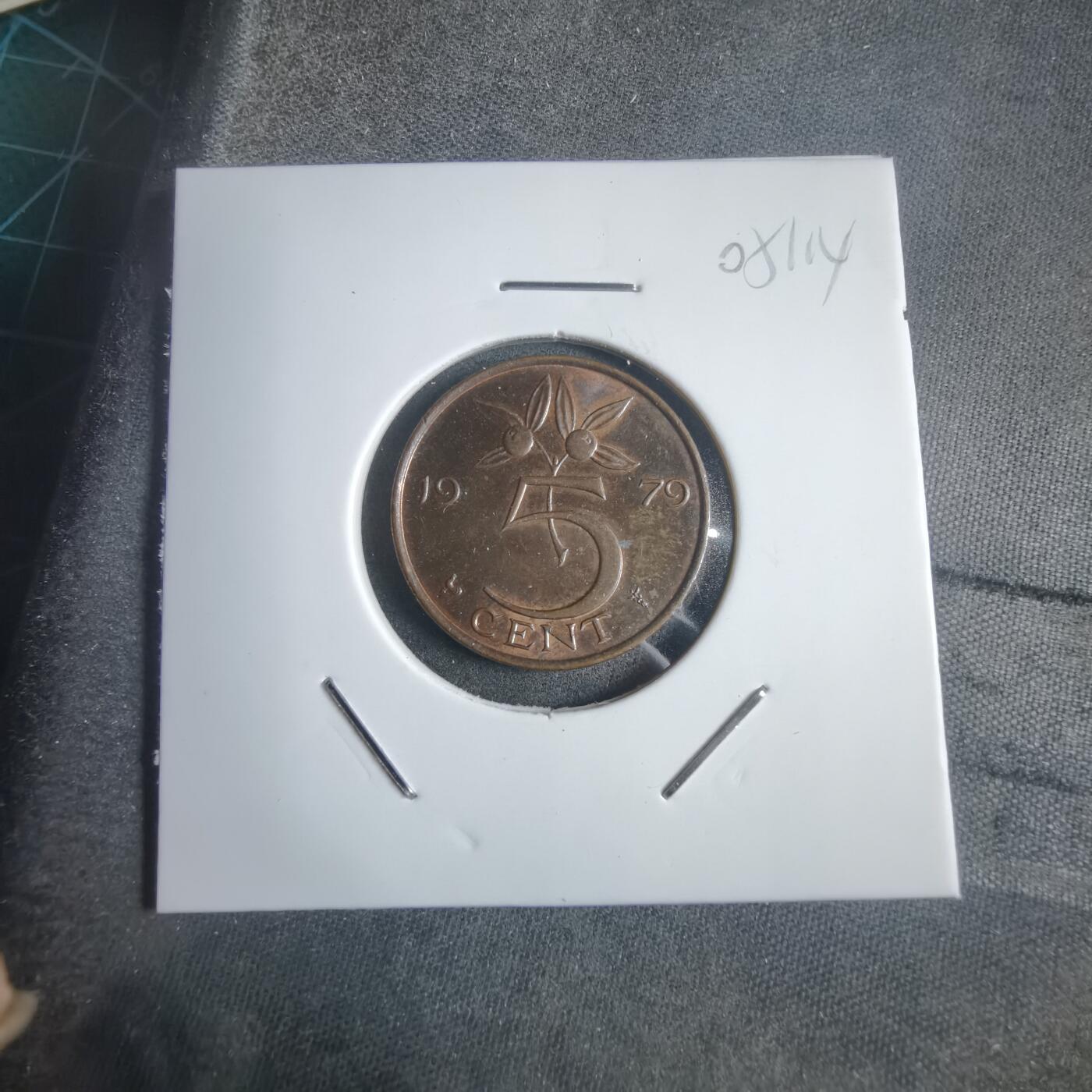 沼泽如烟--第905场